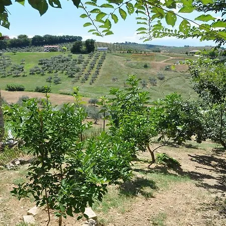 Casa Dona' Penne